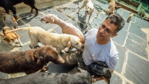 The Man Who Looks After 735 Dogs