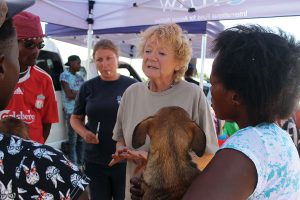 Dogs Need This South African Woman. People Need Her Even More.