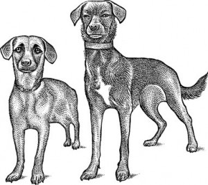 From Canine Hell to Canine Heaven