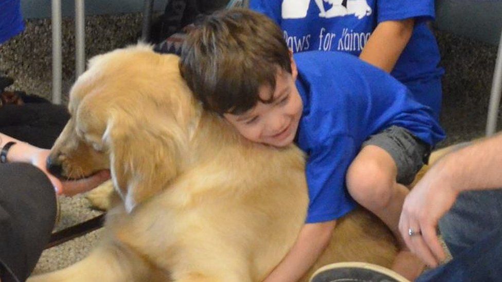 An Autistic Boy Who Can’t Be Touched Has Connected With A Service Dog