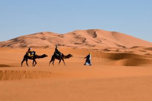 In Praise Of A Nomadic Life