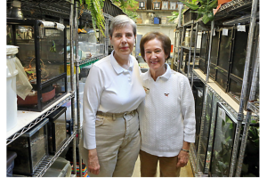 St. Louis Zoo’s ‘Snail Ladies’ Crucial To Saving Species