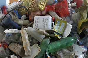Entrepreneur Turns Plastic Waste Into A Way To Save Trees In Kenya