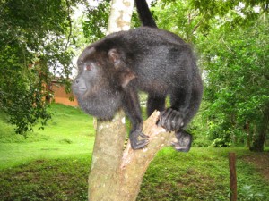 Belize-05