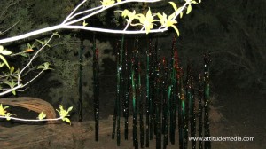 Dale Chihuly Desert Botanical Garden 2.4