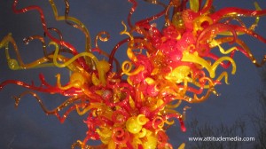 Dale Chihuly Desert Botanical Garden 2