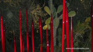 Dale Chihuly Desert Botanical Garden 4