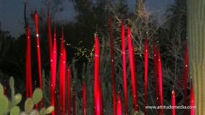 Dale Chihuly Desert Botanical Garden 5