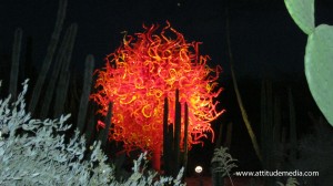 Dale Chihuly Desert Botanical Garden 6