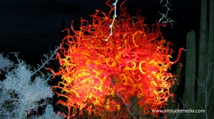 Dale Chihuly Desert Botanical Garden 7