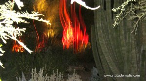 Dale Chihuly Desert Botanical Garden 8