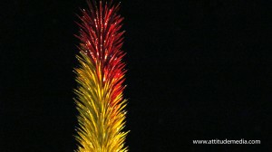 Dale Chihuly Desert Botanical Garden 9