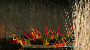 Dale Chihuly Desert Botanical Garden 11