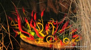 Dale Chihuly Desert Botanical Garden 12