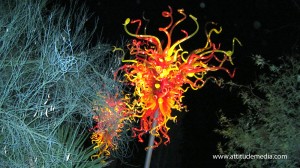 Dale Chihuly Desert Botanical Garden 13
