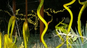 Dale Chihuly Desert Botanical Garden 2.3