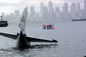 Aviation Life in water