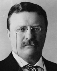 Theodore Roosevelt, American politician
