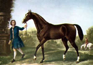 The Father of All Horses